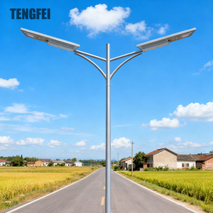 Hot Selling IP65 Waterproof Aluminum Alloy Solar LED Street Lamp