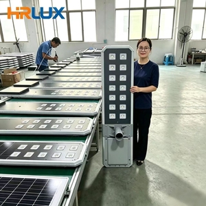 Professional Custom 60W 150W All-in-one Solar Street Light IP66